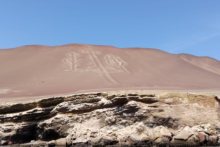 Ballestas Islands from Pisco - CRUISESHIP TERMINAL