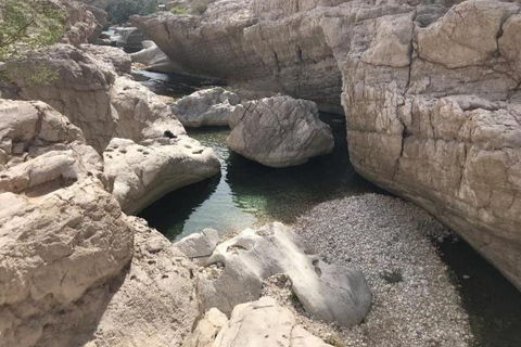 2 Days, 1 Night in Ras Al Hadd, Private Tour