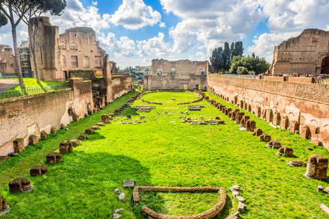 Rzym: Zwiedzanie Koloseum, Forum Romanum i Palatynu z priorytetowym dostępemWłoska wycieczka grupowa - Koloseum, Forum i Wzgórze Palatyńskie