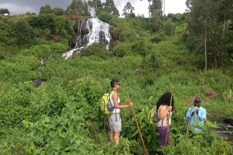 9 giorni di vacanza avventura con safari in Uganda