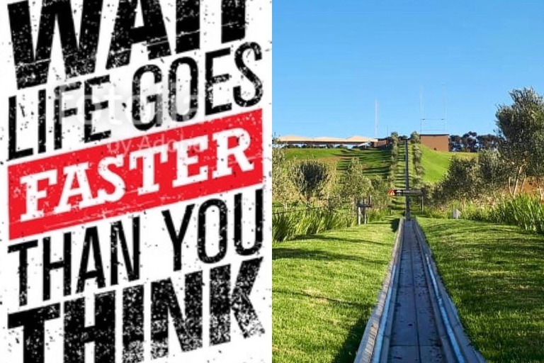 Kaapstad: Cool Running/Toboggan Adventure en ophaalservice vanaf je hotelKaapstad: Cool Running/Toboggan-avontuur en ophaalservice vanaf je hotel