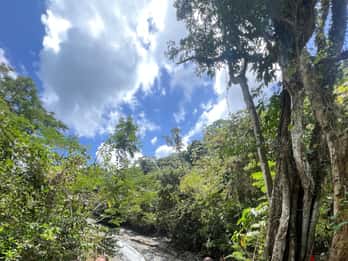 San Juan: Wycieczka do lasu deszczowego El Yunque i plaża Luquillo