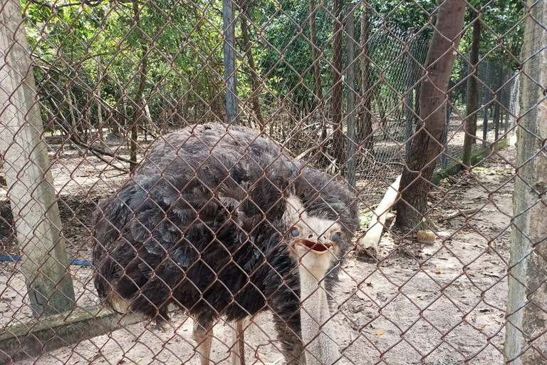 Phnom Penh: Boeddha Kiri en Phnom Tamao Zoo Privé Dagtrip