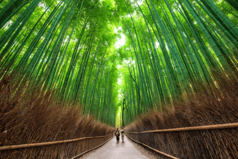 Tour privato di gruppo di Kyoto con il massimo delle attrazioni