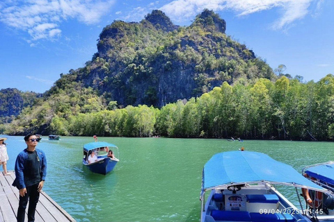 Langkawi: Kilim Nature Park Mangrove Boat Tour, UNESCO Site 3 Hours Mangrove Safari