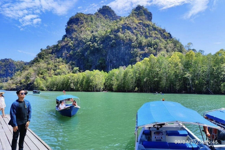 Langkawi: Kilim Nature Park Mangrove Boat Tour, UNESCO Site 3 Hours Mangrove Safari