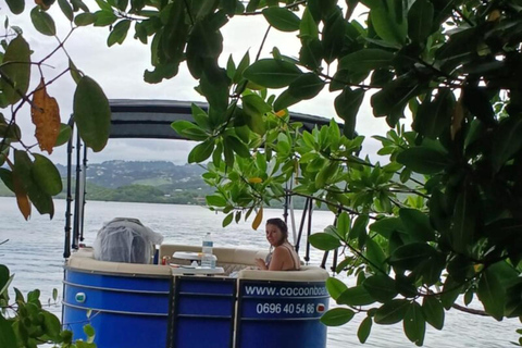 Martinique: Baie du Robert License-Free Boat excursion Full-Day Blue Boat