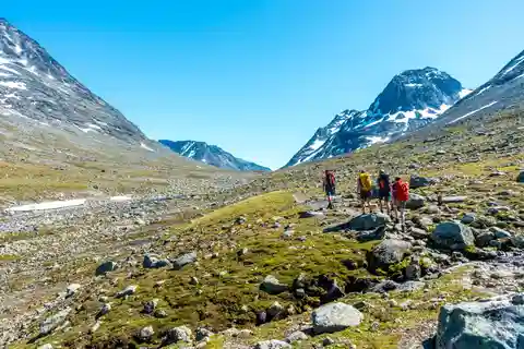 Från Beitostolen: Svartdalen - en dag i Jotunheimen Tour