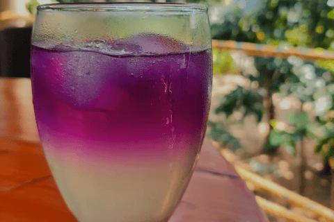 Santa Marta : excursion en paddleboard sur la rivière Don Diego et visite d'une chocolaterieSanta Marta : excursion en paddleboard sur la rivière Don Diego et dégustation de cho