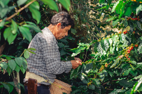 Bogotá to Cali: Private Luxury Journey through the Andes and Coffee