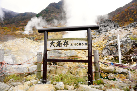 Tokyo: Hakone, Owakudani & Gotemba Premium Outlet 1-Day Tour From Shinagawa