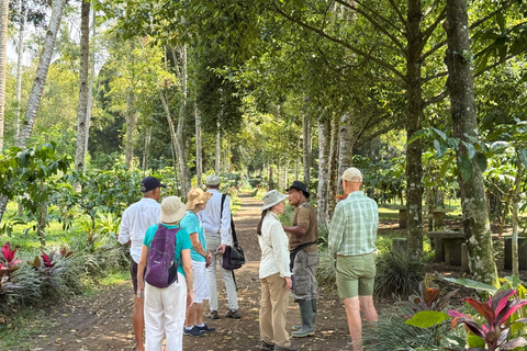 Jakarta: Java to Bali Train Tour with Hotels