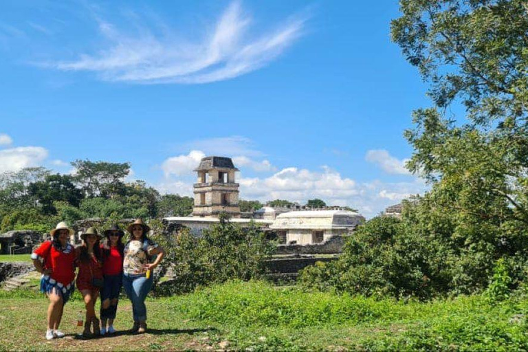 San Cristóbal : Visite privée de Misol Ha, Palenque et Agua AzulnVisite privée