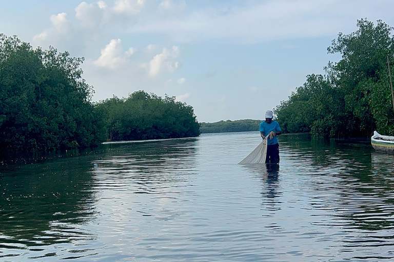 Heerlijk ontspannen aan zee en ecotoer in natuurlijke mangrovebossen