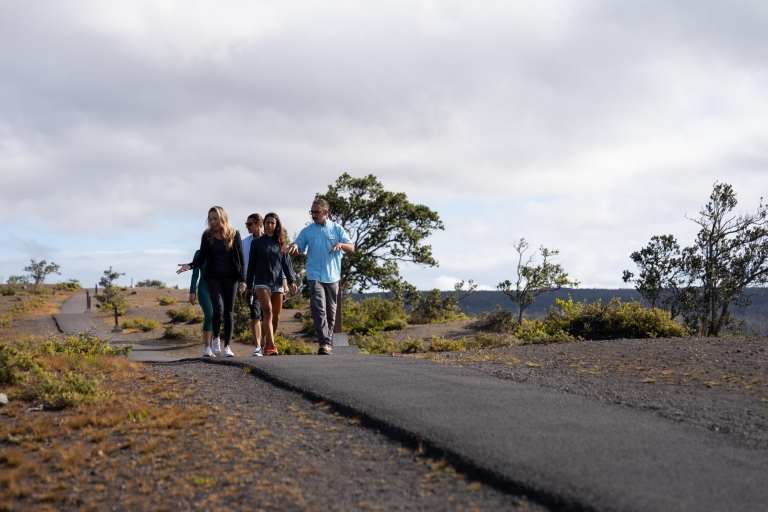 Big Island : Excursion d'une journée au volcan, au café et à la plage de sable noir