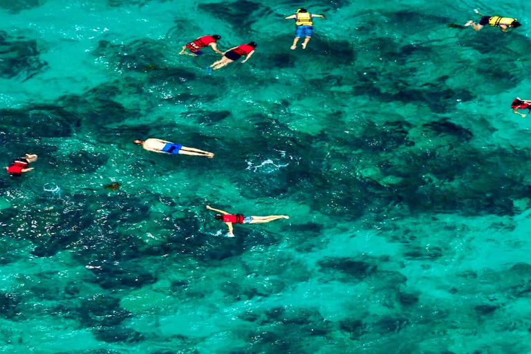 Ekskluzywna wycieczka na wyspę Catalina z transportem i obiadem w cenie