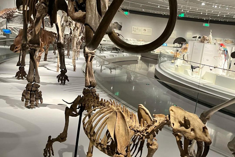 Shenzhen: Natural History Museum Landmark Priority Pass
