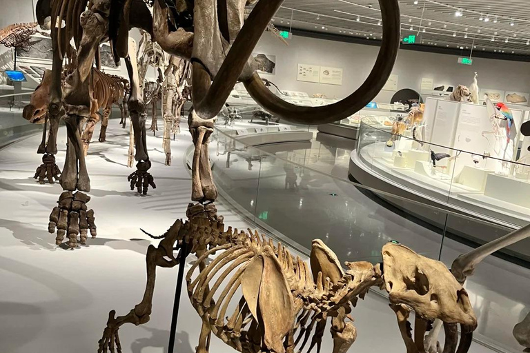 Shenzhen: Natural History Museum Landmark Priority Pass