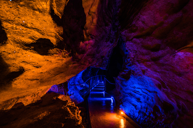 Från Auckland: Dagstur till Waitomo Glowworm och Ruakuri-grottorna