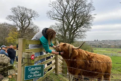 Edinburgh: Highland Cow, Blackness Castle en thee