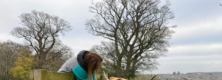 Édimbourg : Vache des Highlands, château de Blackness et visite guidée des gâteaux