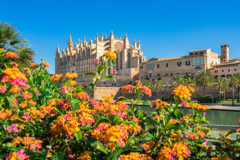 Palma de Mallorca: Valldemossa & Cathedral Shore Excursion