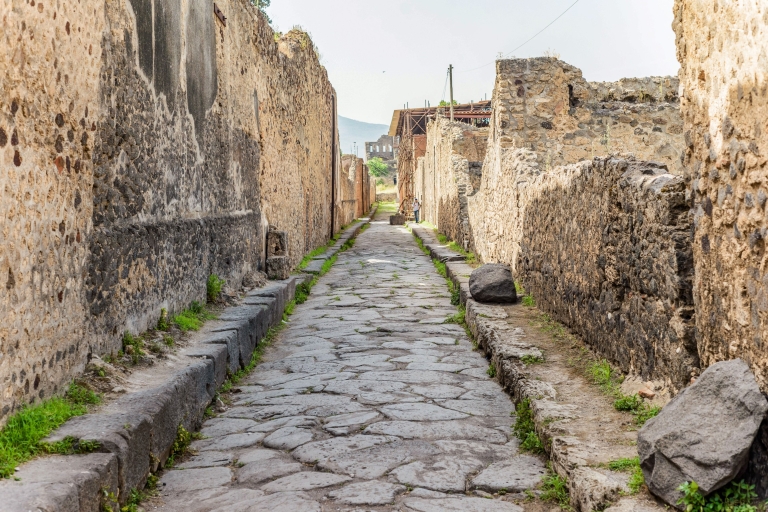 Pompeje: wycieczka w małej grupie z archeologiemWycieczka prywatna w j. francuskim