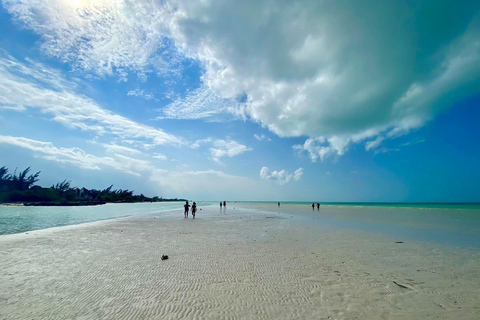 Holbox Plus+Cenote erkunden