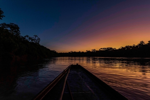Tambopata: Search for Caimans in the Amazon | Night Tour |