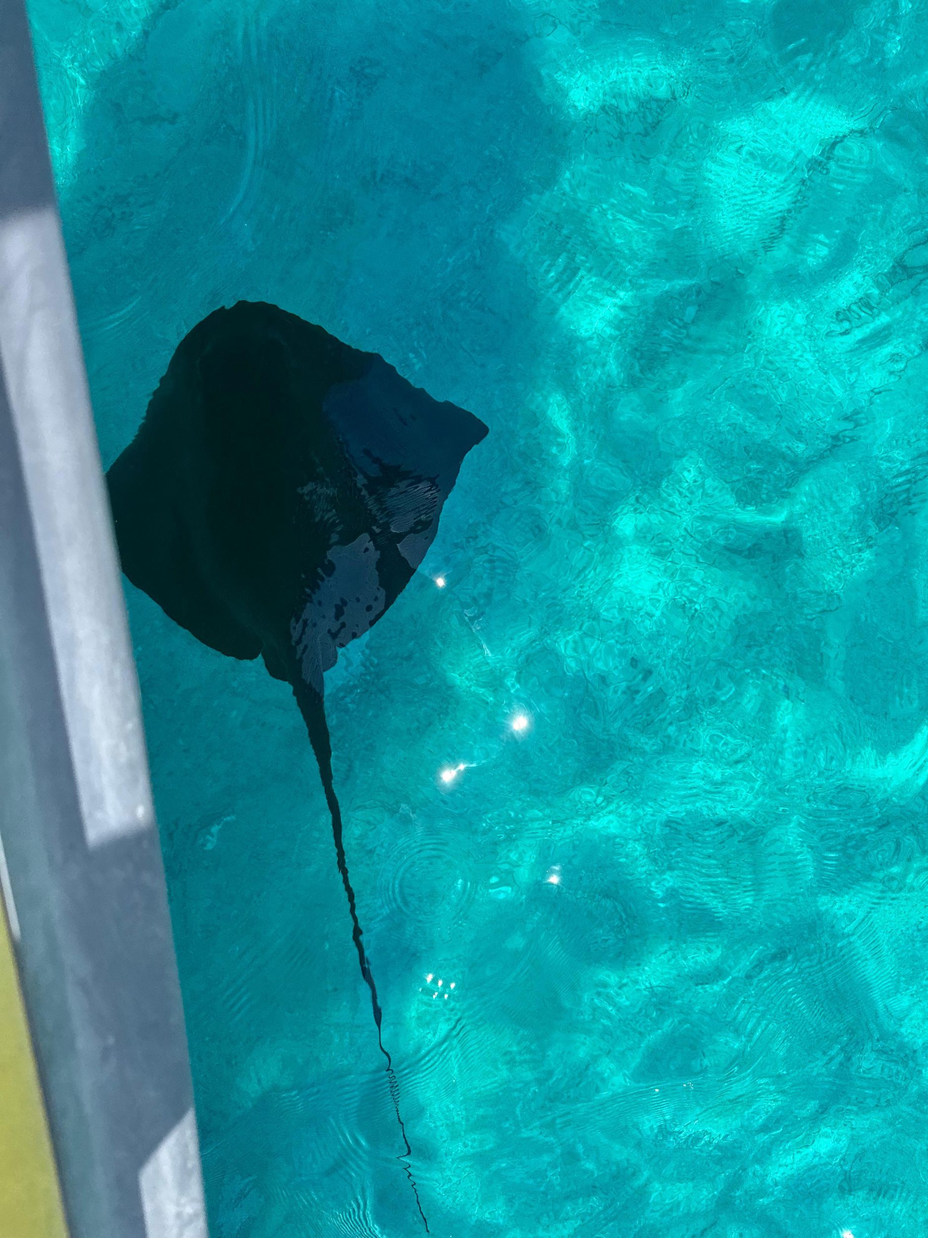 Saranda: Schnellbootausflug zu wilden Buchten, Sonne, Schwimmen, Schnorcheln und gute Laune