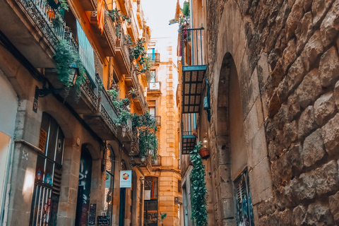 Barcelona: Introduction to the Gothic Quarter Walking Tour Private Tour (Max 20 Adults)