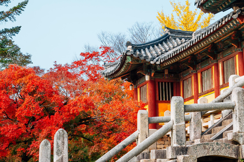 Busan: Gyeongju Autumn Foliage Day Tour with Historic Sites Shared Tour, Meet at Haeundae Station