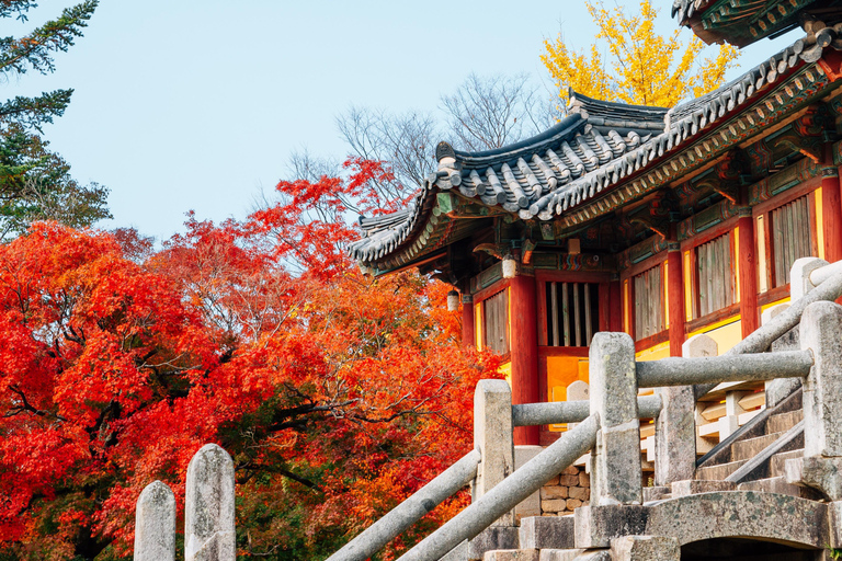 Busan: Gyeongju Autumn Foliage Day Tour with Historic Sites Shared Tour, Meet at Haeundae Station