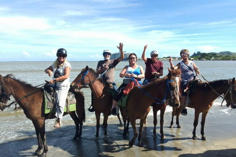 Puerto Plata: Beach Horseback Ride Adventure