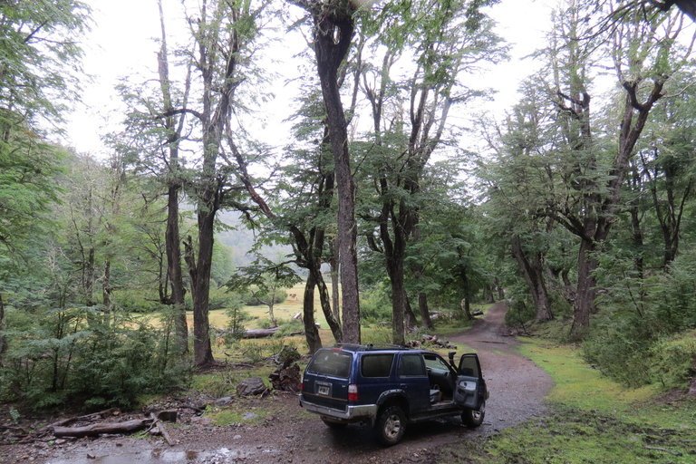 San Martín de los Andes: a 4x4 guided tour to the Mallin
