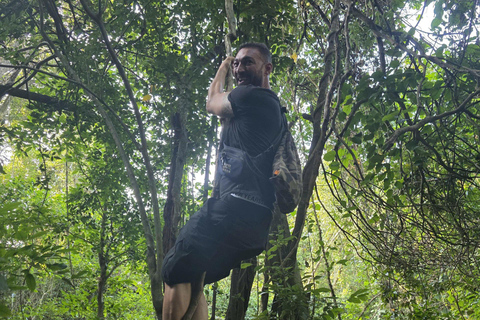 Half day Hiking Cat Ba National Park With guide