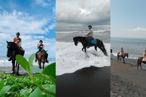 Ubud: 1 Hour Countryside Beach Horse Riding with Transfer Ubud: 1 Hour Countryside Horse Riding with Rice Field View