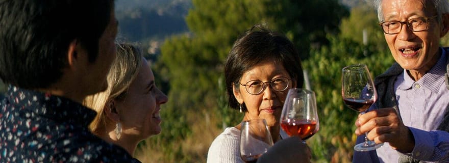 Nice : Visite des vignobles avec dégustation de vin