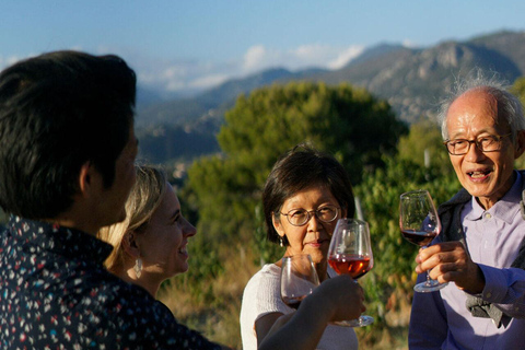 Nizza: Tour dei vigneti con degustazione di viniOpzione con trasporto