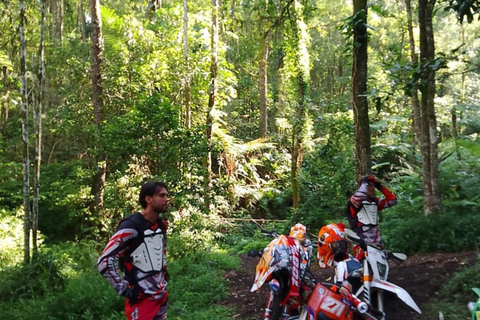 Bali: Extreme Dirt Bike Experience in Nature Batur Sunrise and Forest ATV