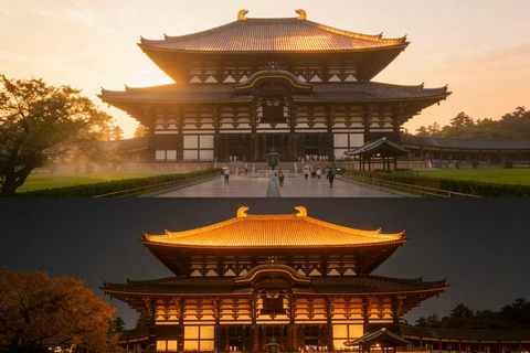 Osaka: Nara Private Day Tour with Todaiji Temple & Nara Park