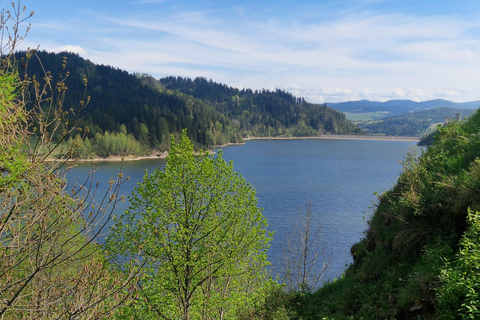 Zakopane: Alpine Coaster & Czorsztyn Castle Tour