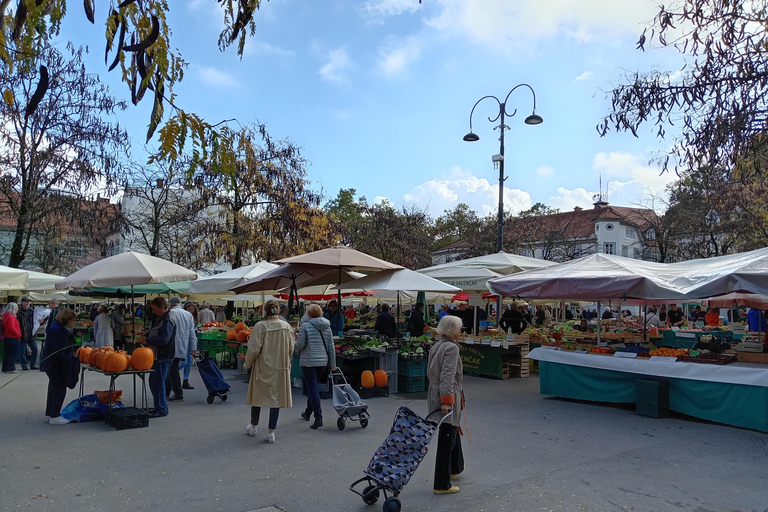 Ljubljana: Old Town Guided Walking Tour in French