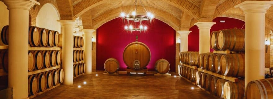 Bénévent : visite d'un domaine viticole avec dégustation de vin et collations