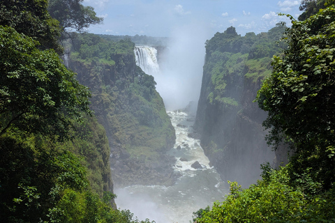 Victoria Falls: Guided Walking Tour with Local Guide