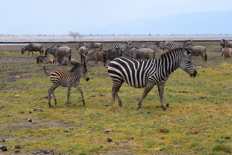 Viaggio di due giorni al Lago Manyara con canoa e passerella tra le cime degli alberiCampeggio a Karatu