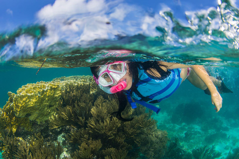 Isla Mujeres: Katamaran med öppen bar, snorkling och lunchTurné med öppen bar