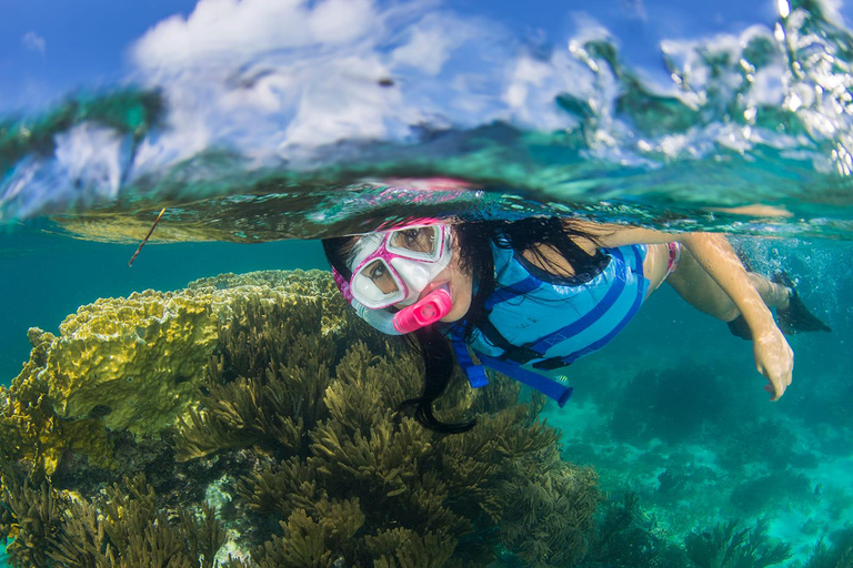 Isla Mujeres: Catamarã com open bar, mergulho com snorkel e almoçoTour com Open Bar