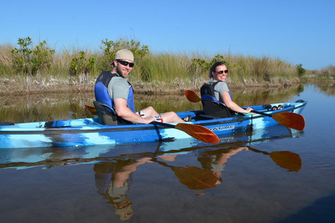 Everglades Kayak Safari Adventure Through Mangrove Tunnels