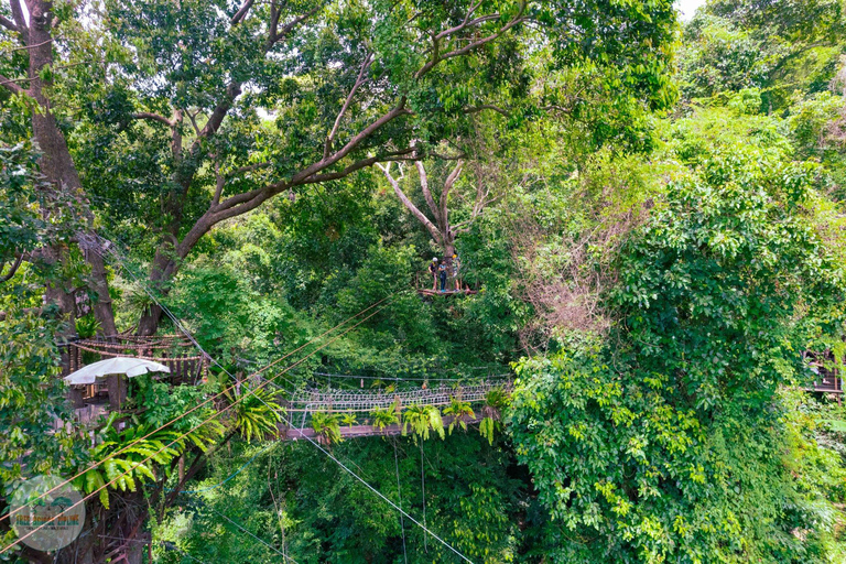 From Koh Samui: Tree Bridge Zipline and Café Experience